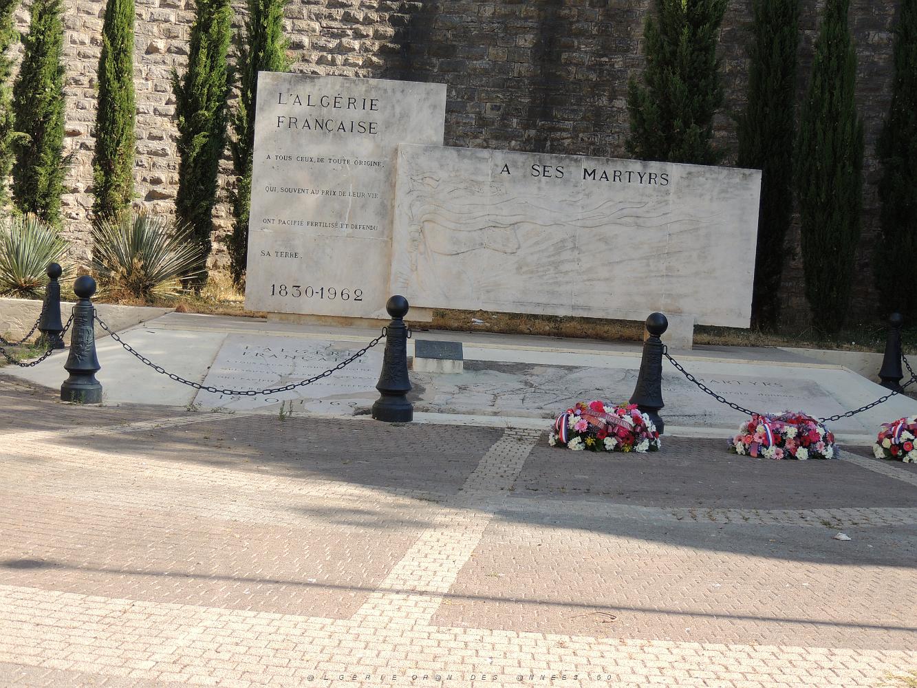 2019 07 05 TOULON HOMMAGE A NOS DISPARUS ET MORTS DU 5 07 1962 A ORAN (6).JPG -           